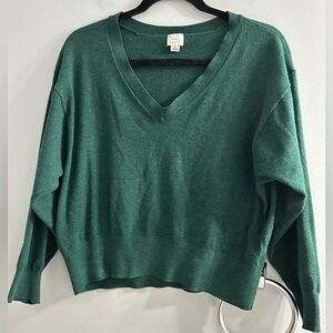 A new day green v neck sweater